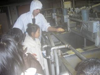 豆腐工場を見学する