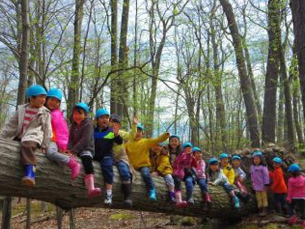 ｢若木と新緑あふれる森の幼稚園｣