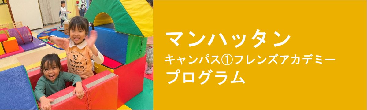 ニュージャージー プログラム