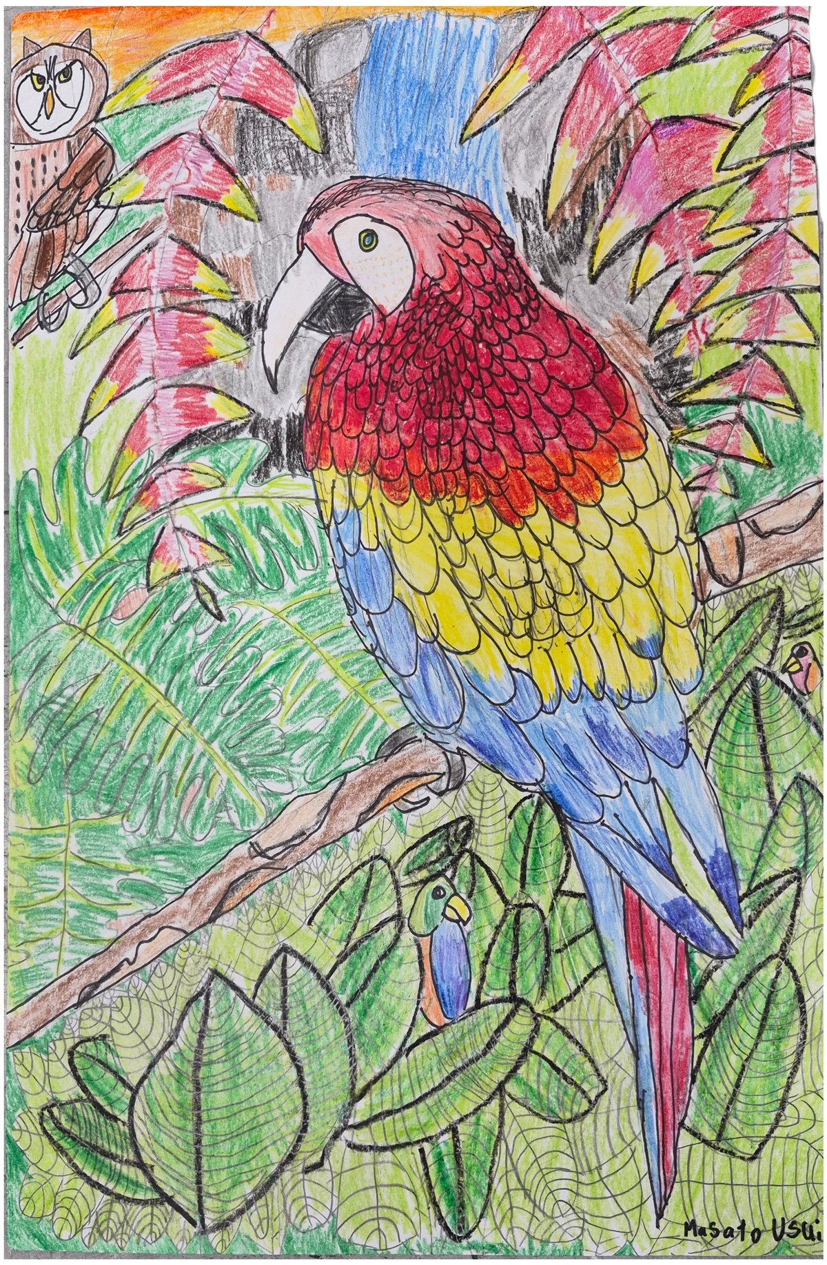 「セントラルパークズーの鳥たち」