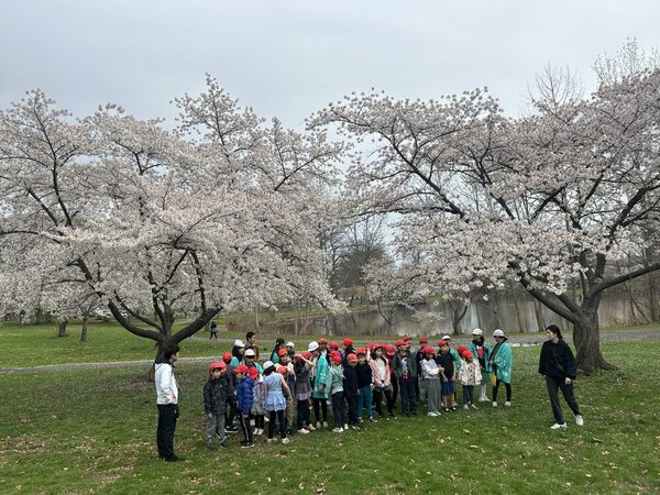 満開の桜の下に集まる児童