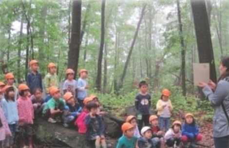 森の幼稚園の様子